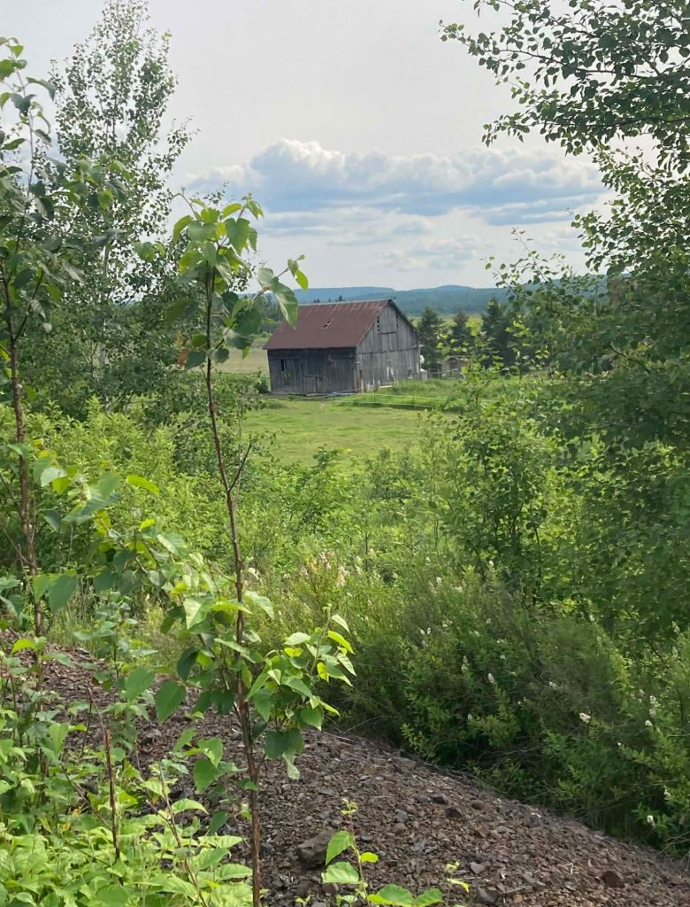 A view of the barn and field at Dark Horse Psychological Services